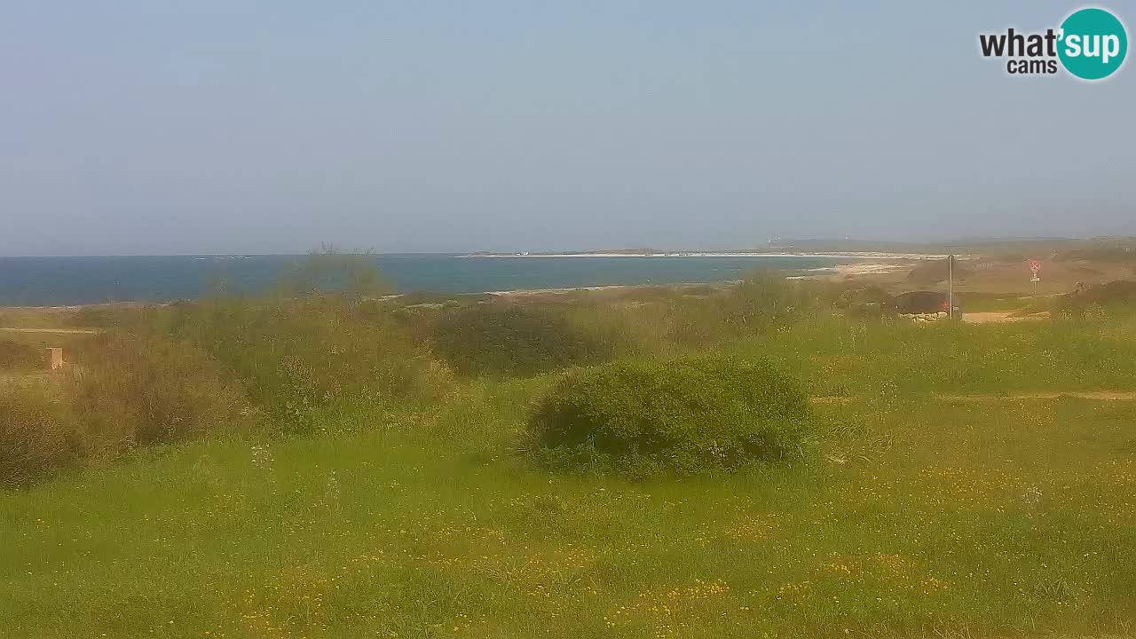 Plage Mari Ermi | Is Arutas – Oristano