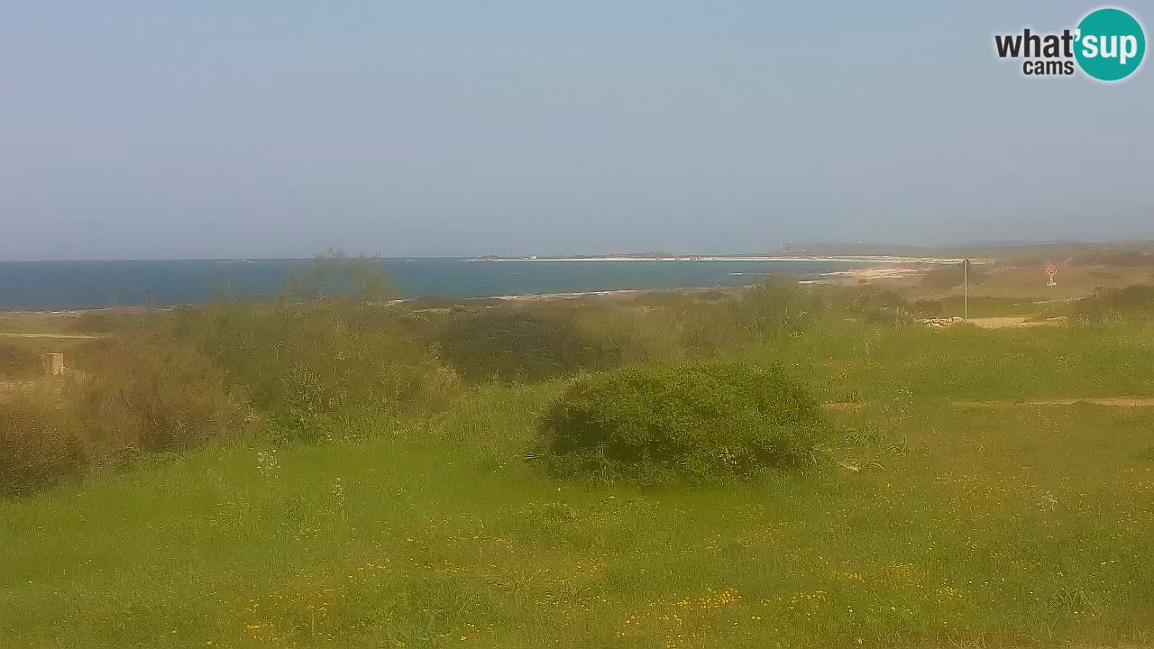 Mari Ermi Strand | Is Arutas – Oristano