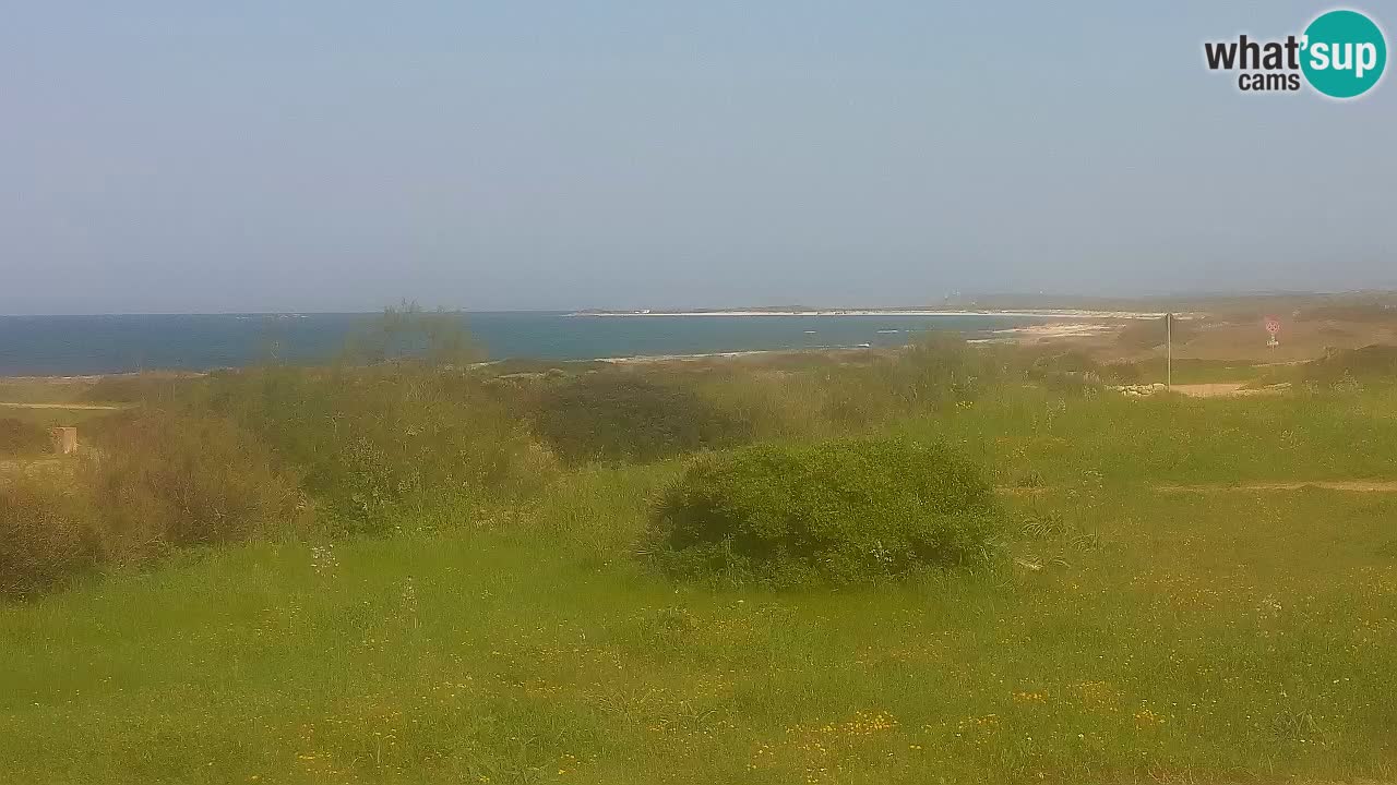 Plaža Mari Ermi | Is Arutas – Oristano