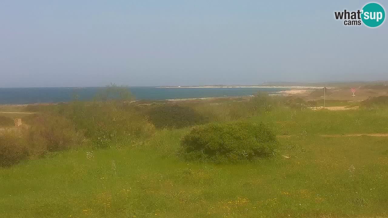 Playa Mari Ermi | Is Arutas – Oristano