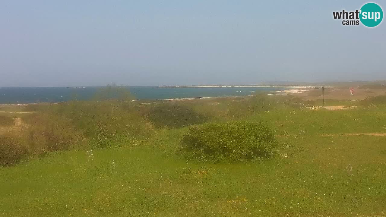Spiaggia Mari Ermi | Is Arutas – Oristano