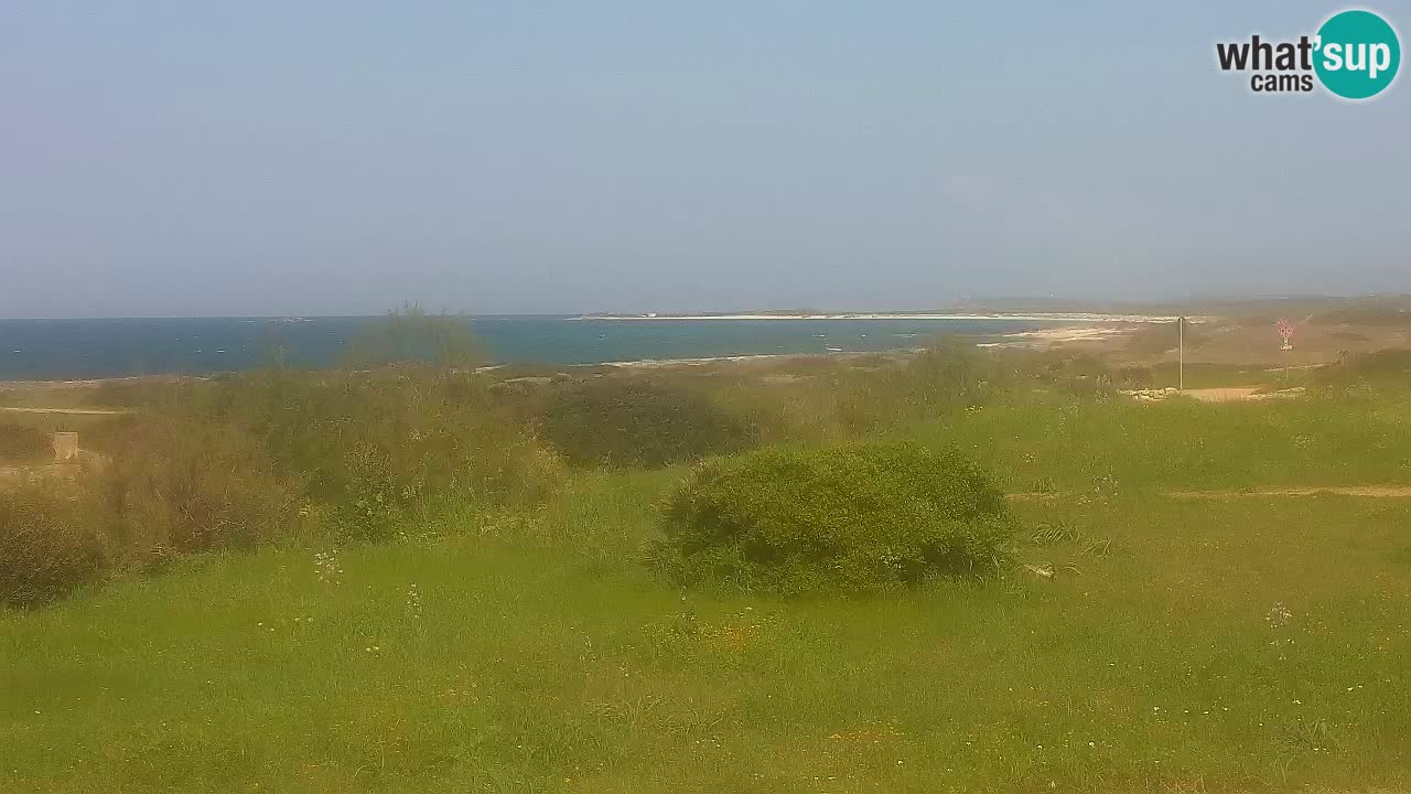 Playa Mari Ermi | Is Arutas – Oristano