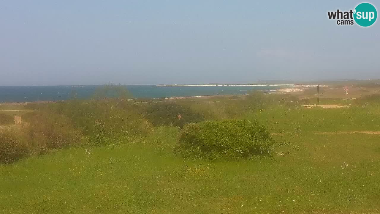 Mari Ermi Strand | Is Arutas – Oristano