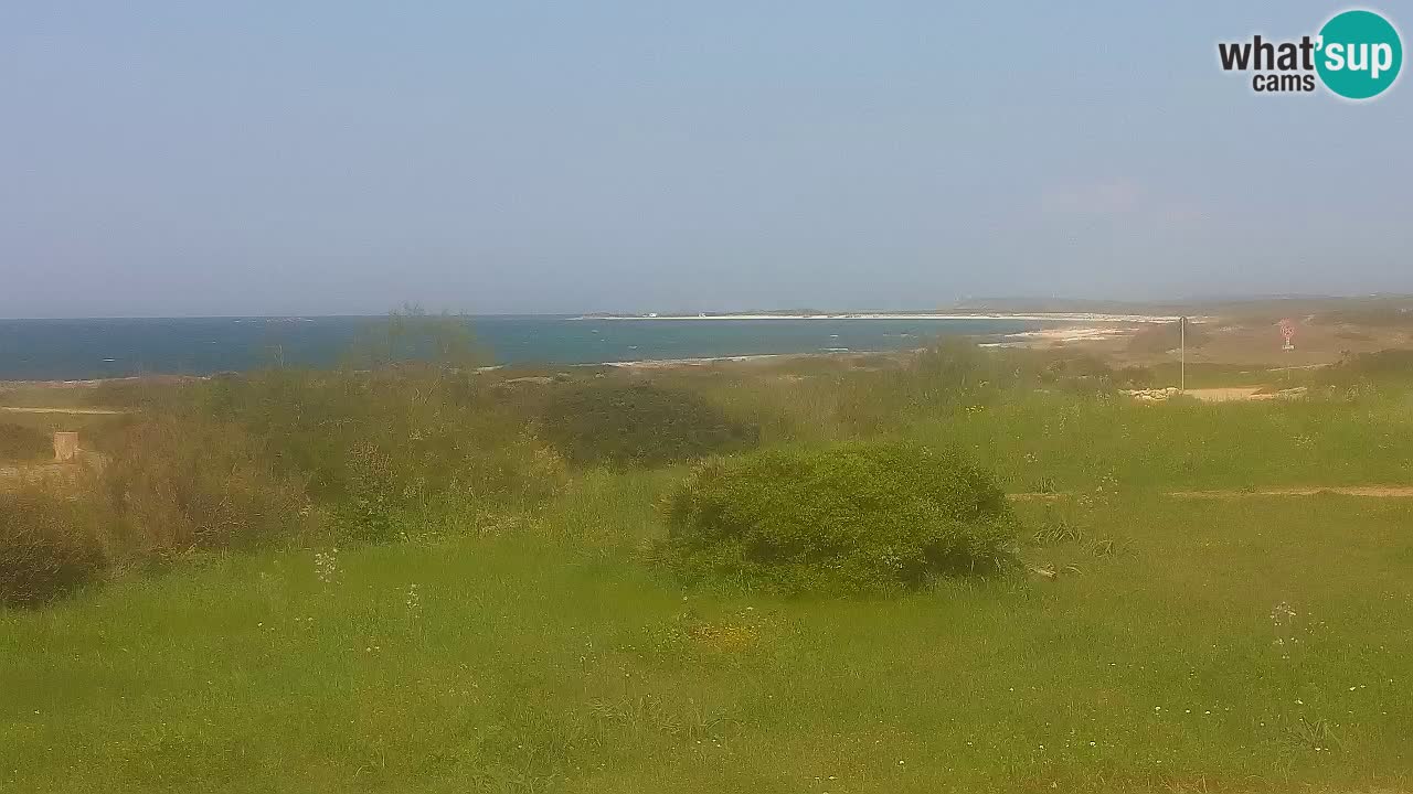 Plaža Mari Ermi | Is Arutas – Oristano