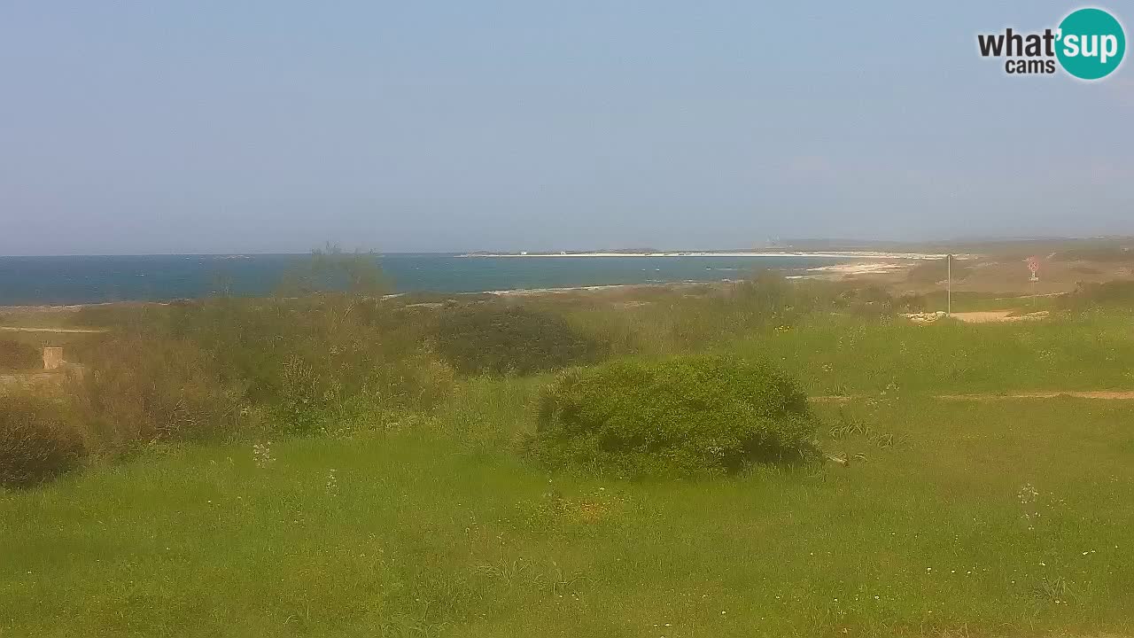 Playa Mari Ermi | Is Arutas – Oristano