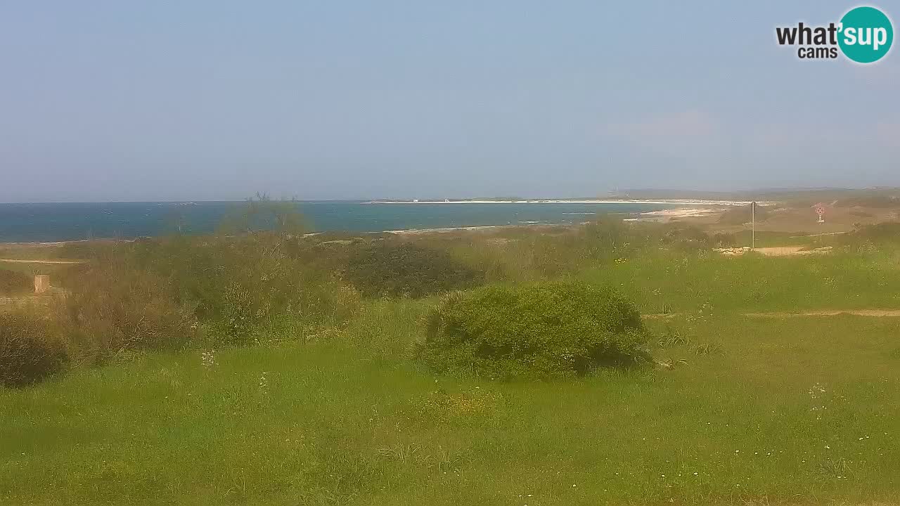 Playa Mari Ermi | Is Arutas – Oristano