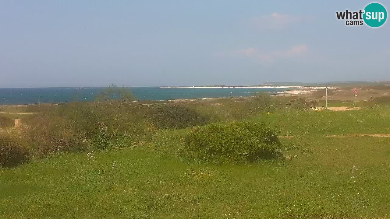 Playa Mari Ermi | Is Arutas – Oristano