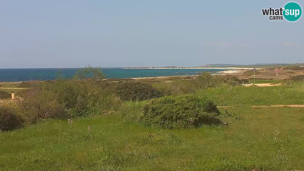 Mari Ermi Strand | Is Arutas – Oristano