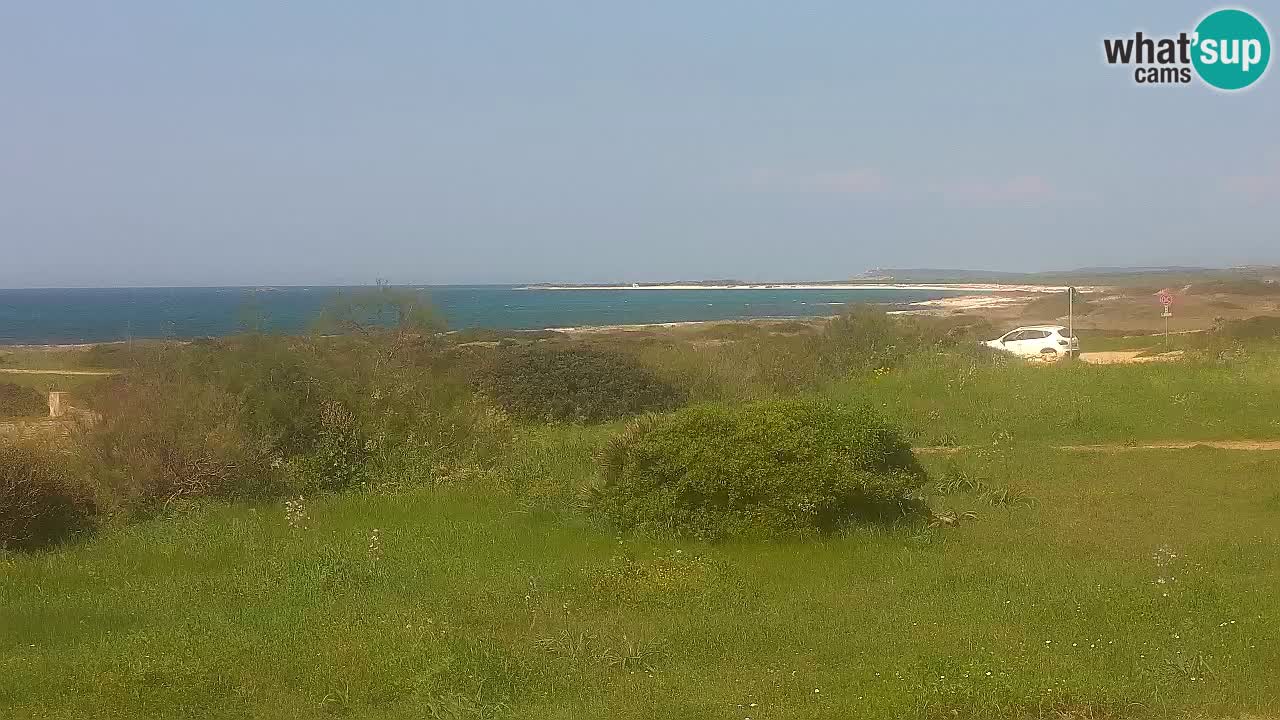 Playa Mari Ermi | Is Arutas – Oristano