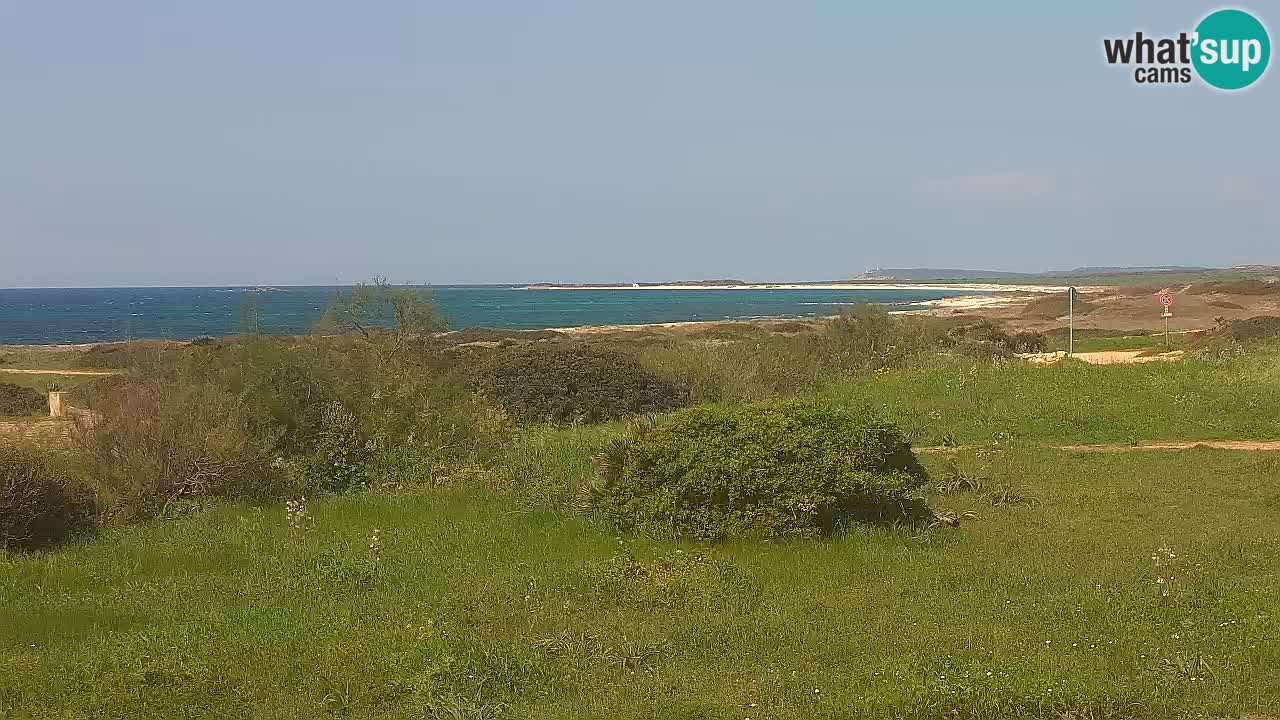 Mari Ermi Strand | Is Arutas – Oristano