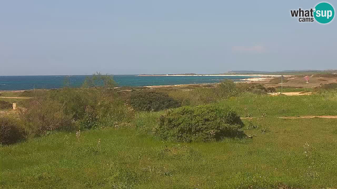 Spiaggia Mari Ermi | Is Arutas – Oristano