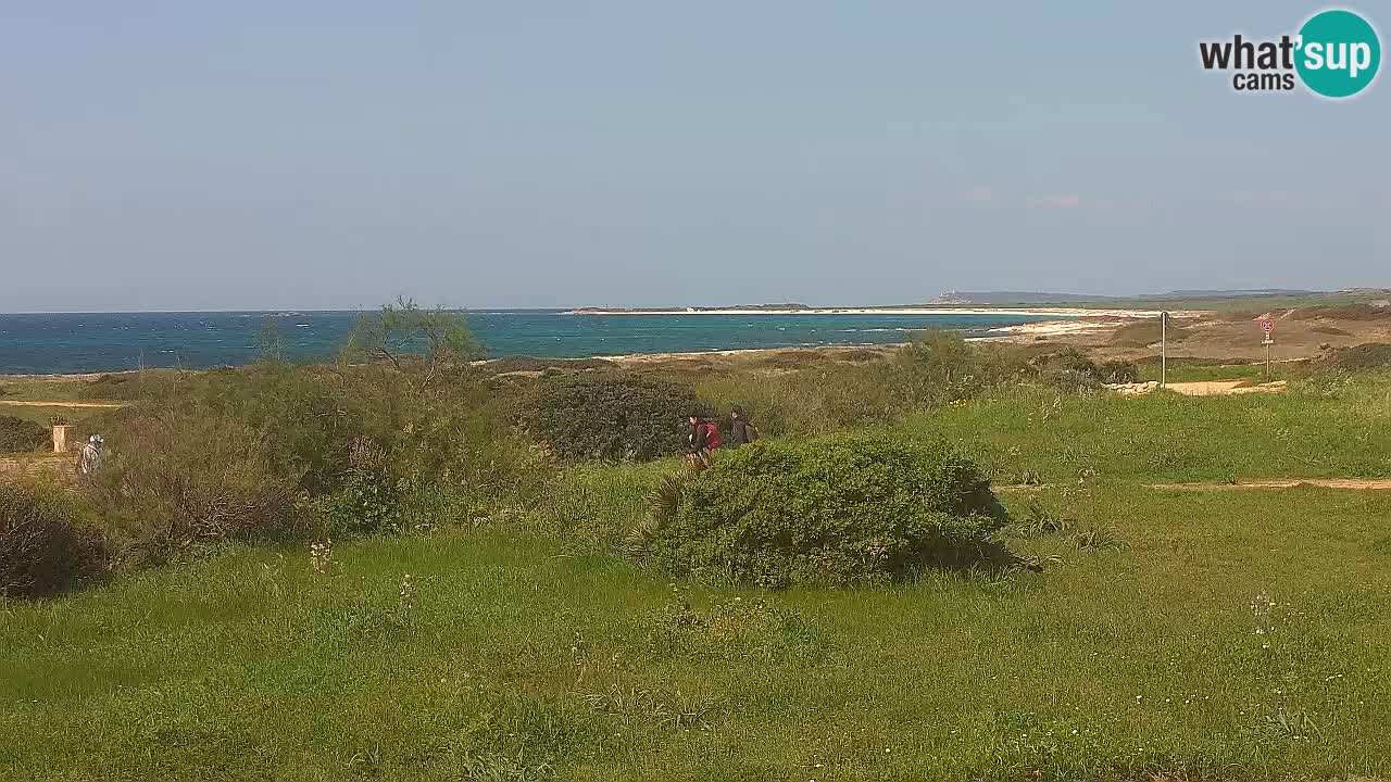 Spiaggia Mari Ermi | Is Arutas – Oristano