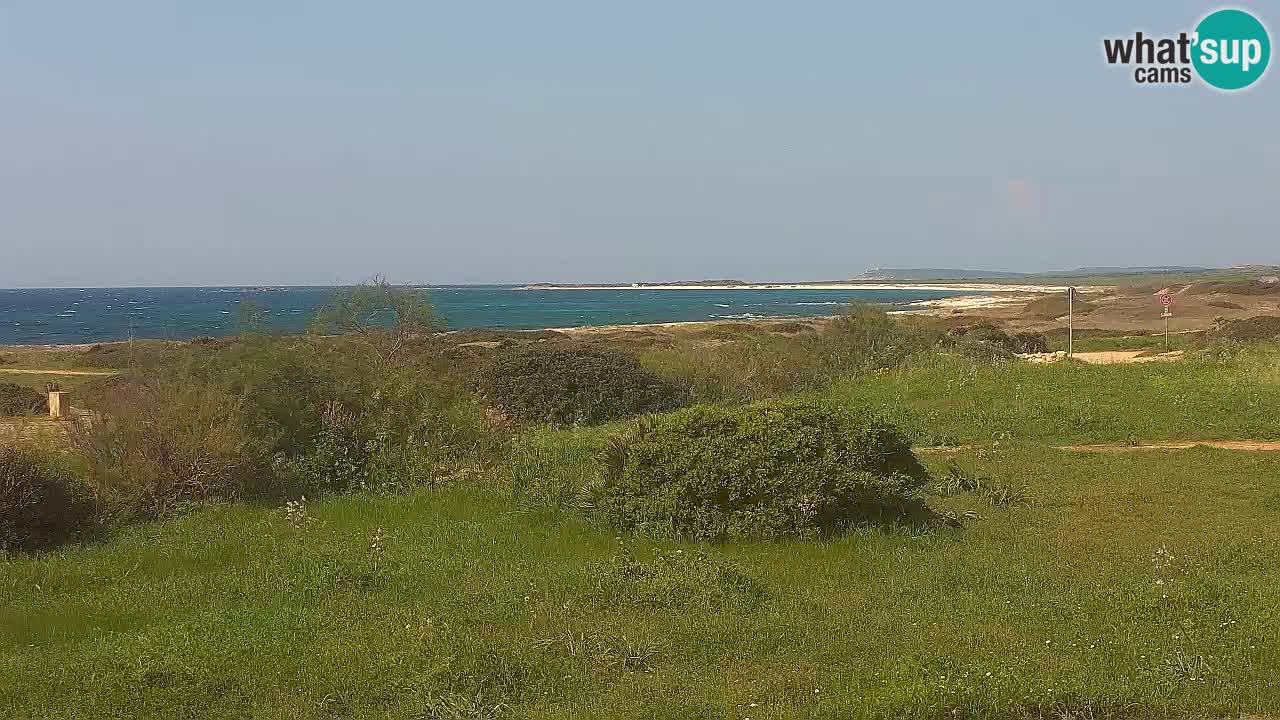 Plaža Mari Ermi | Is Arutas – Oristano