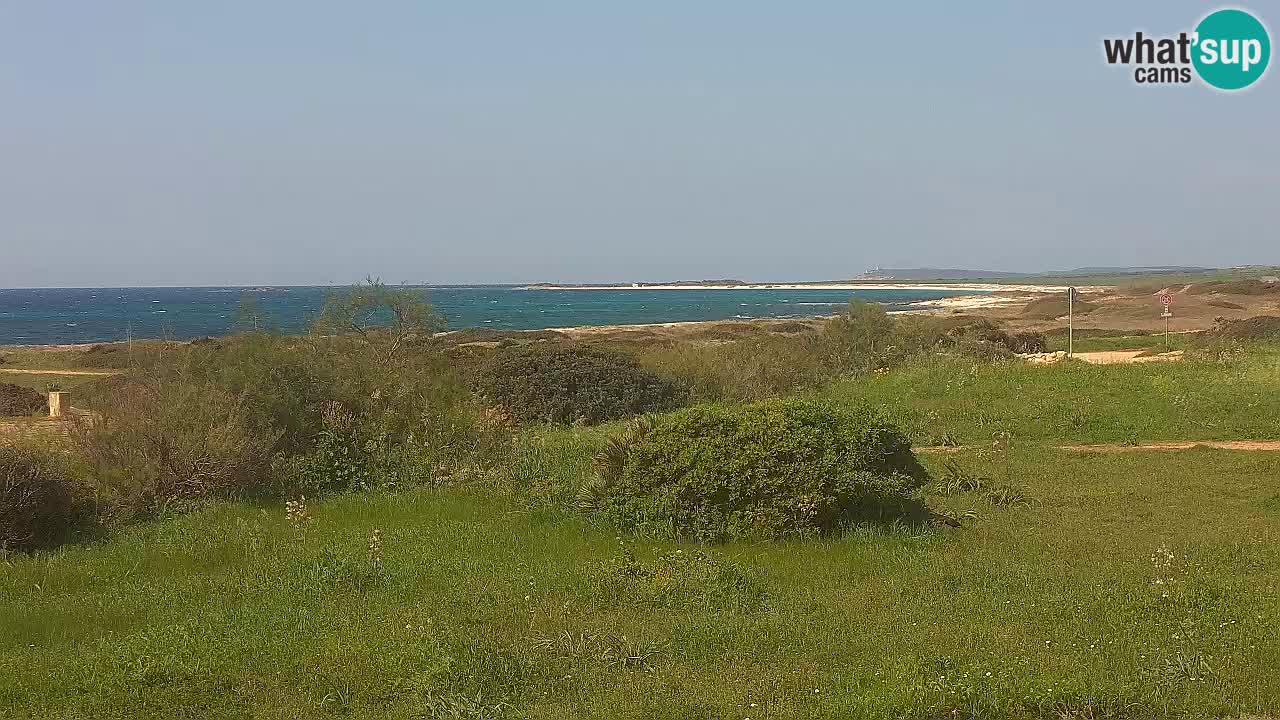 Plaža Mari Ermi | Is Arutas – Oristano