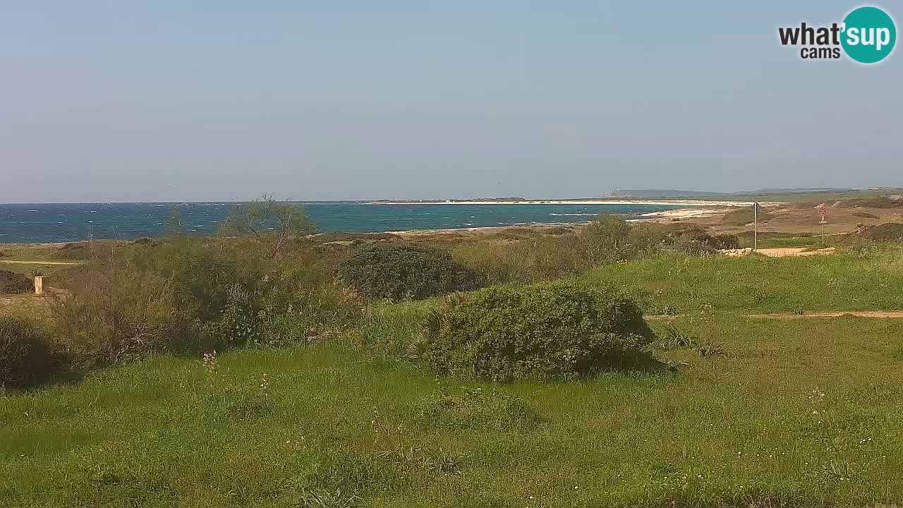 Plaža Mari Ermi | Is Arutas – Oristano
