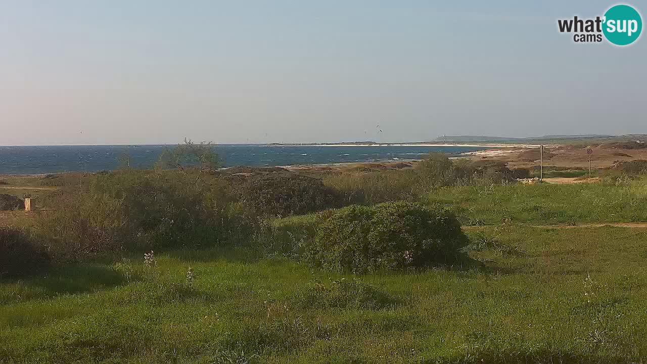 Playa Mari Ermi | Is Arutas – Oristano