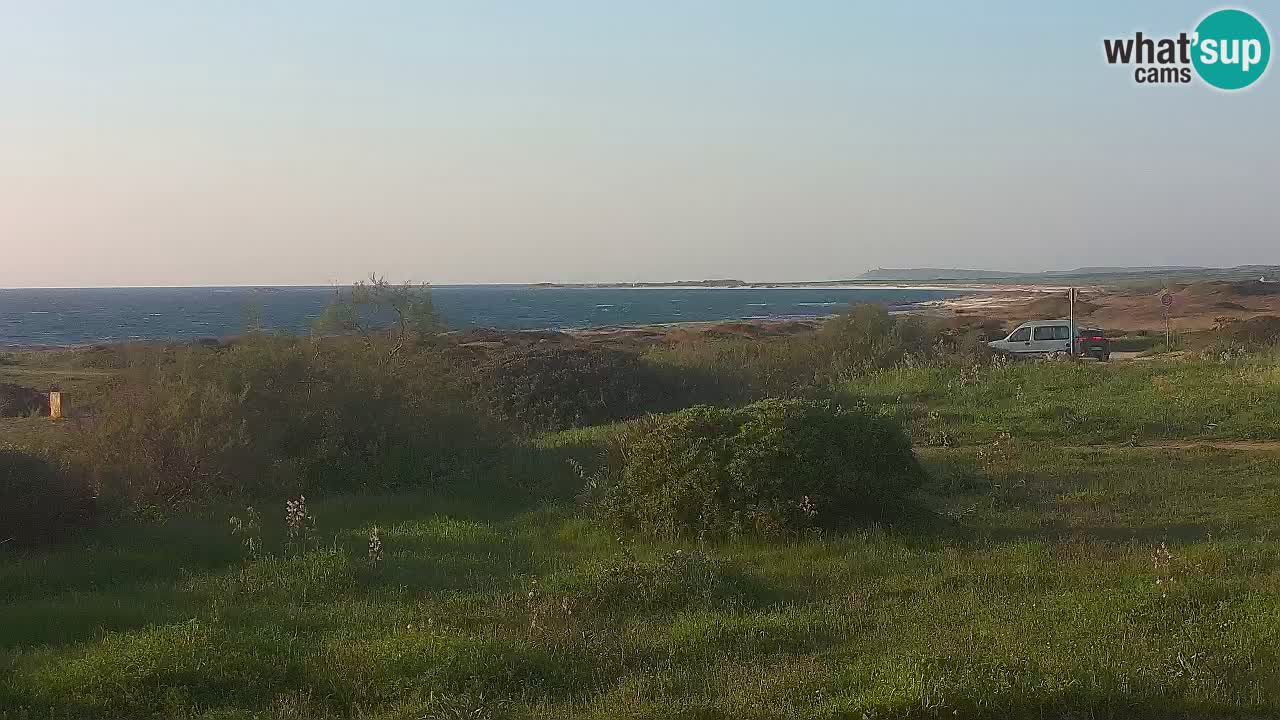 Mari Ermi Strand | Is Arutas – Oristano