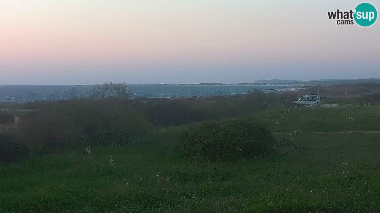 Mari Ermi Strand | Is Arutas – Oristano