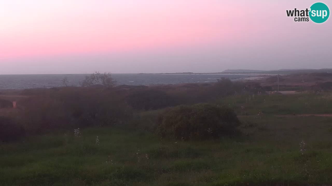 Mari Ermi Strand | Is Arutas – Oristano