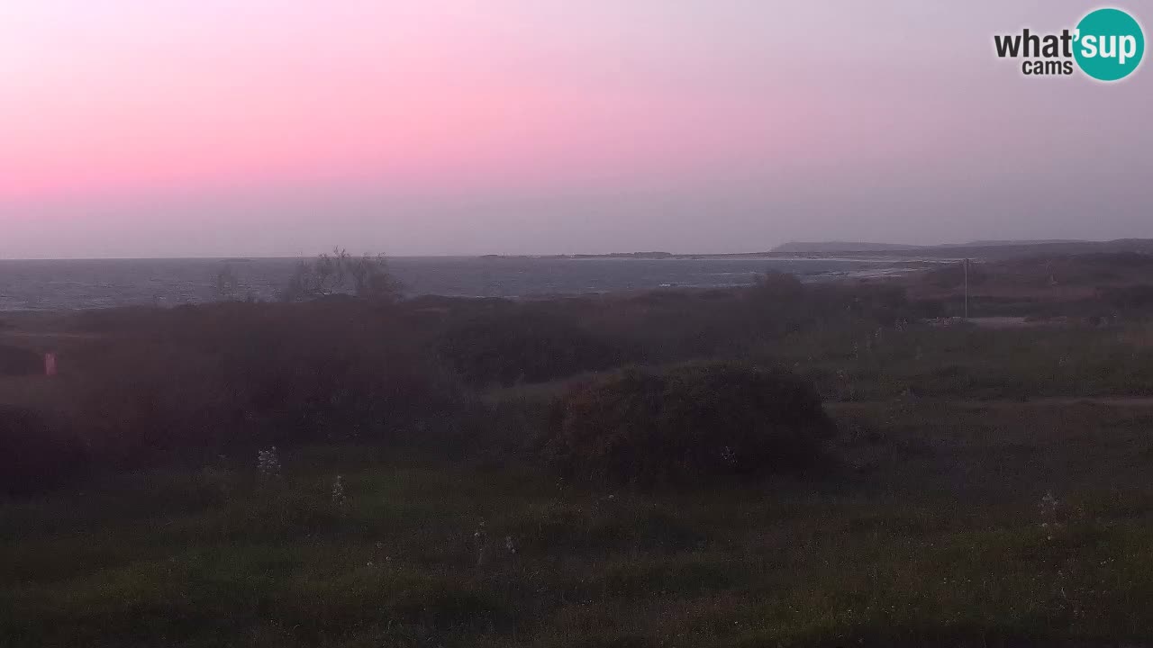 Mari Ermi Strand | Is Arutas – Oristano