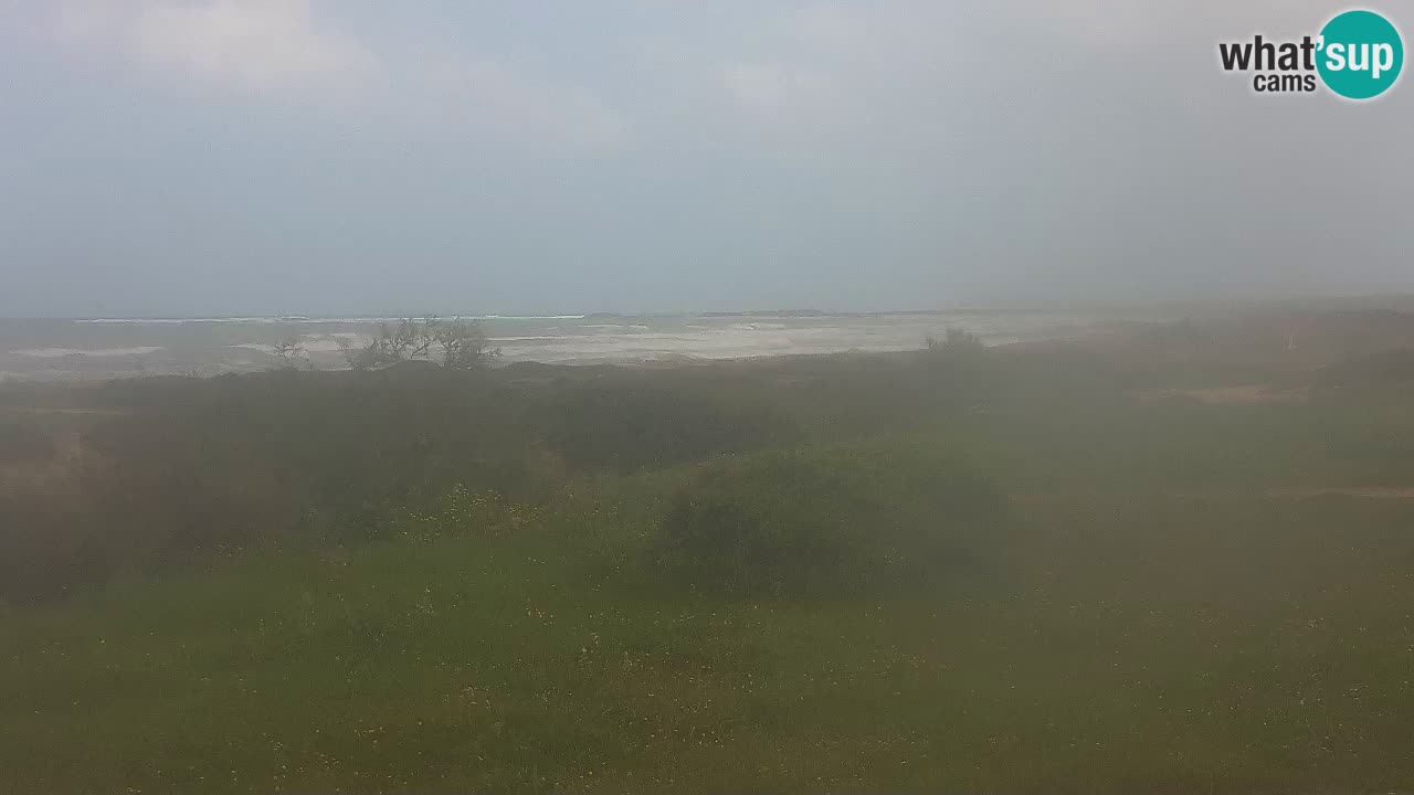 Plage Mari Ermi | Is Arutas – Oristano