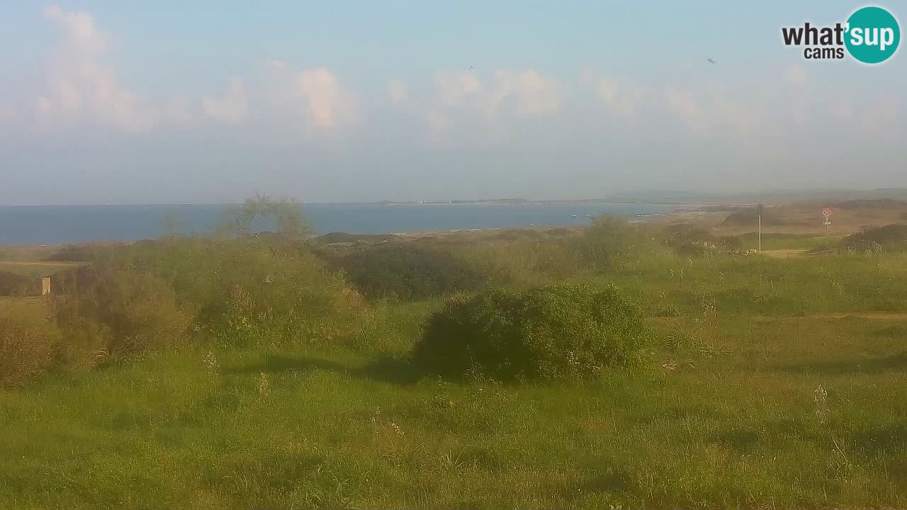Playa Mari Ermi | Is Arutas – Oristano