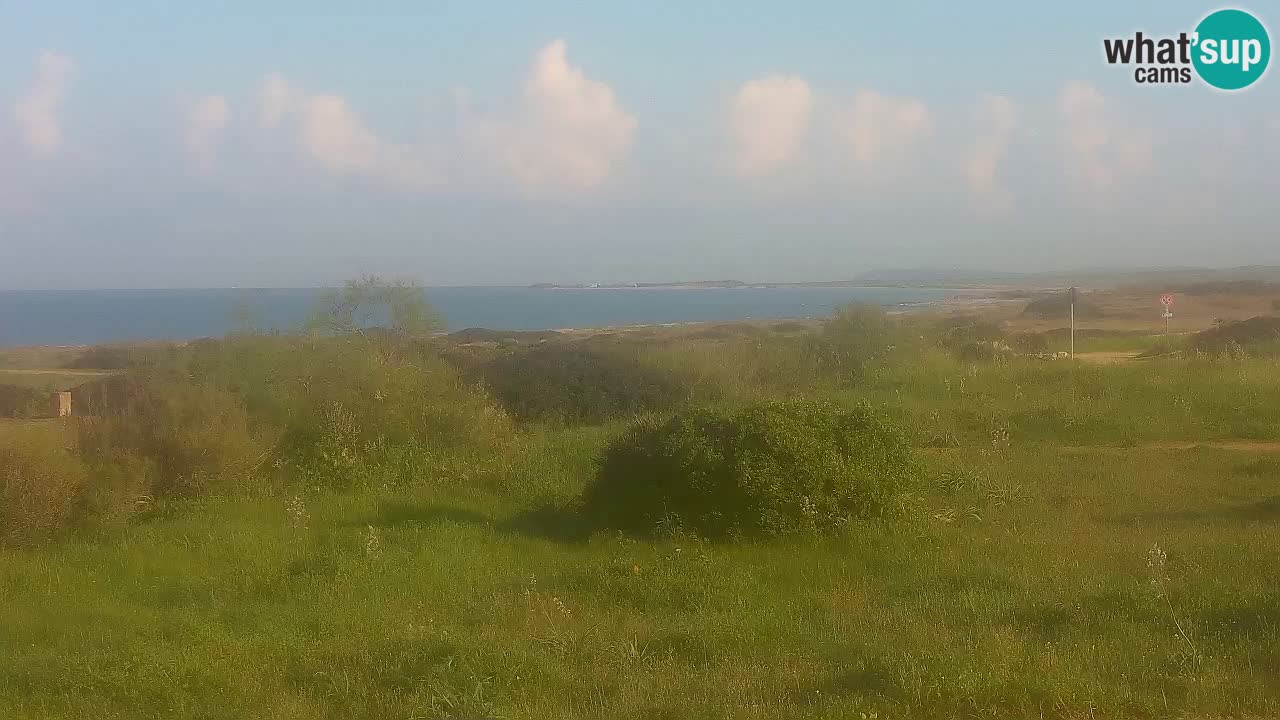 Playa Mari Ermi | Is Arutas – Oristano
