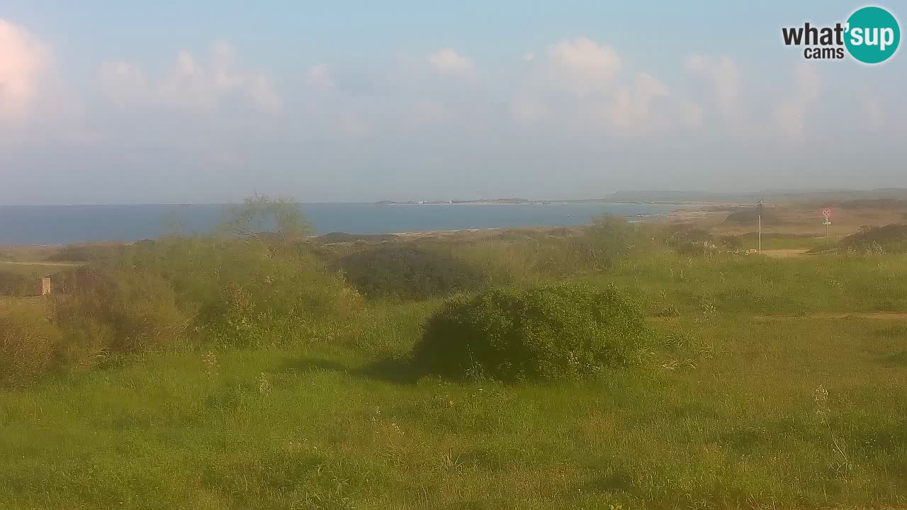 Plaža Mari Ermi | Is Arutas – Oristano