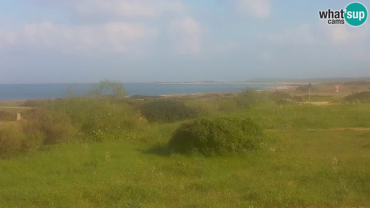 Mari Ermi beach | Is Arutas – Oristano