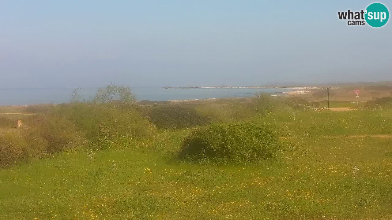 Plaža Mari Ermi | Is Arutas – Oristano