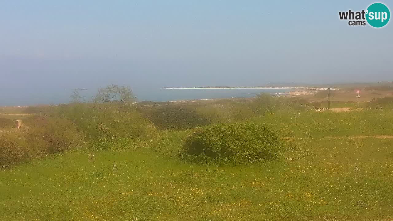 Playa Mari Ermi | Is Arutas – Oristano