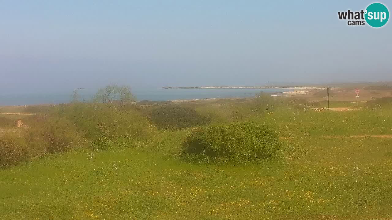 Playa Mari Ermi | Is Arutas – Oristano