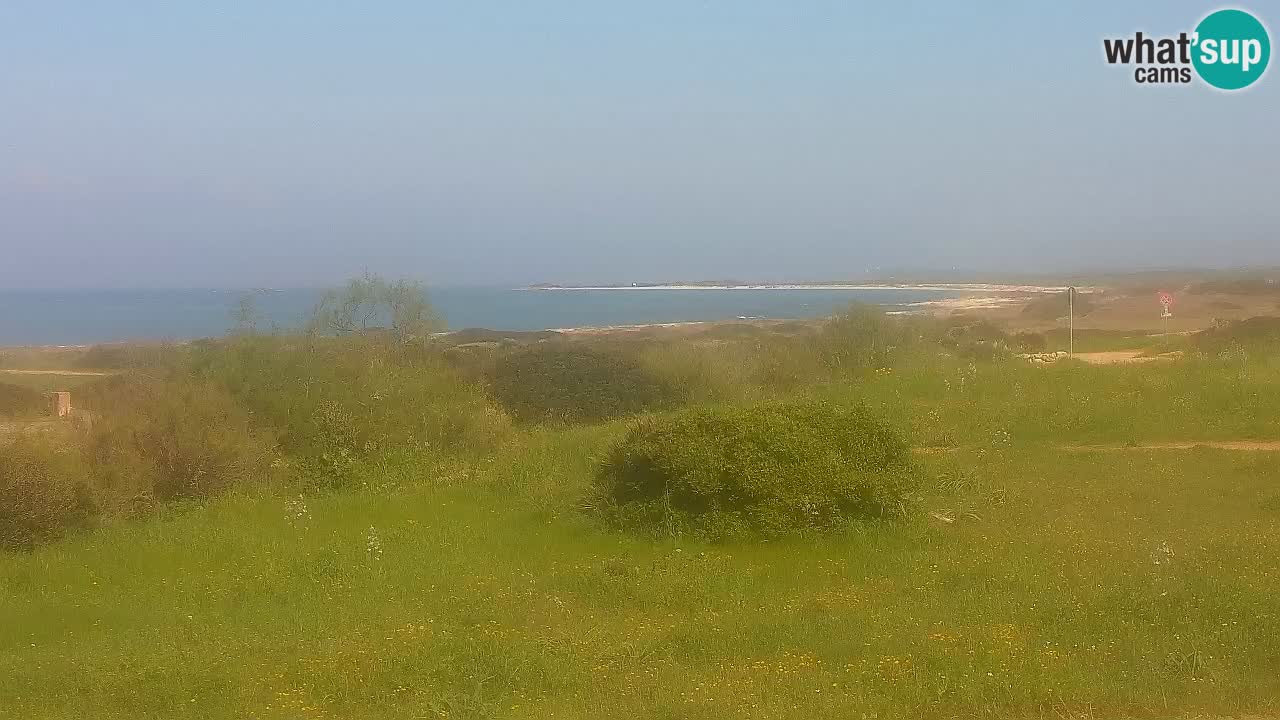 Plaža Mari Ermi | Is Arutas – Oristano