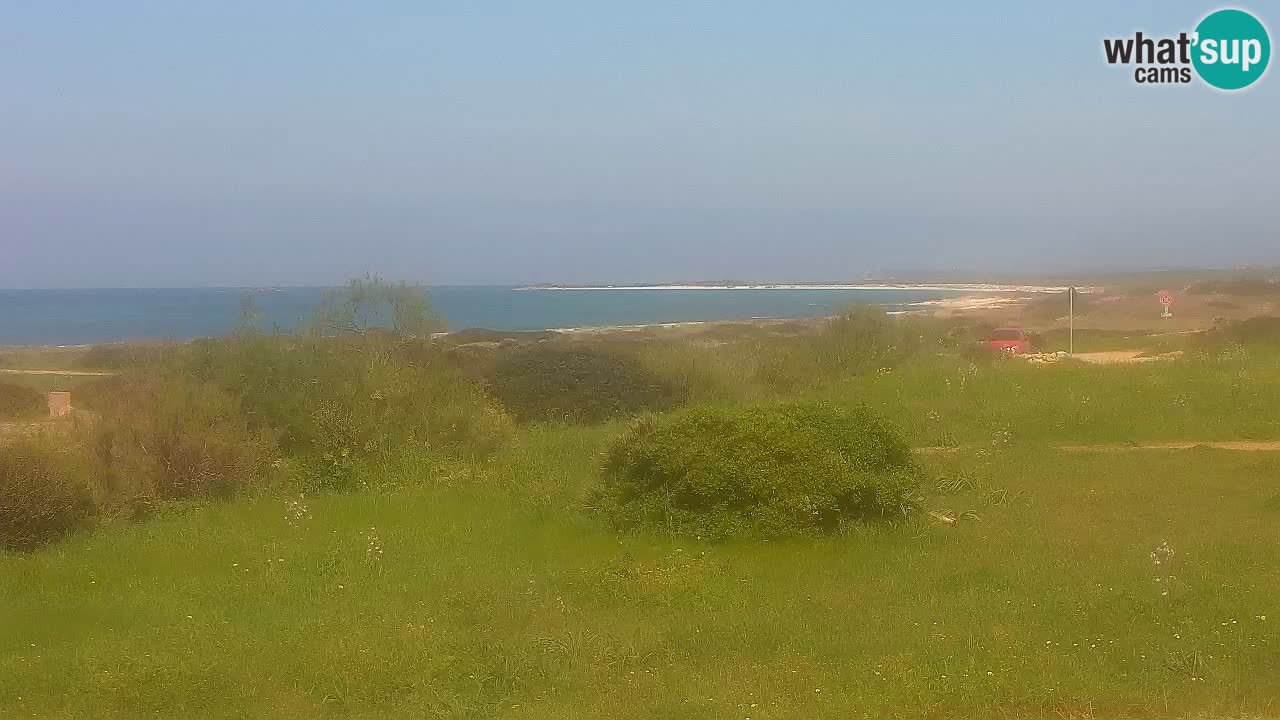 Playa Mari Ermi | Is Arutas – Oristano