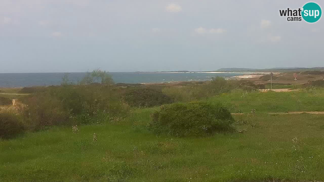 Plaža Mari Ermi | Is Arutas – Oristano