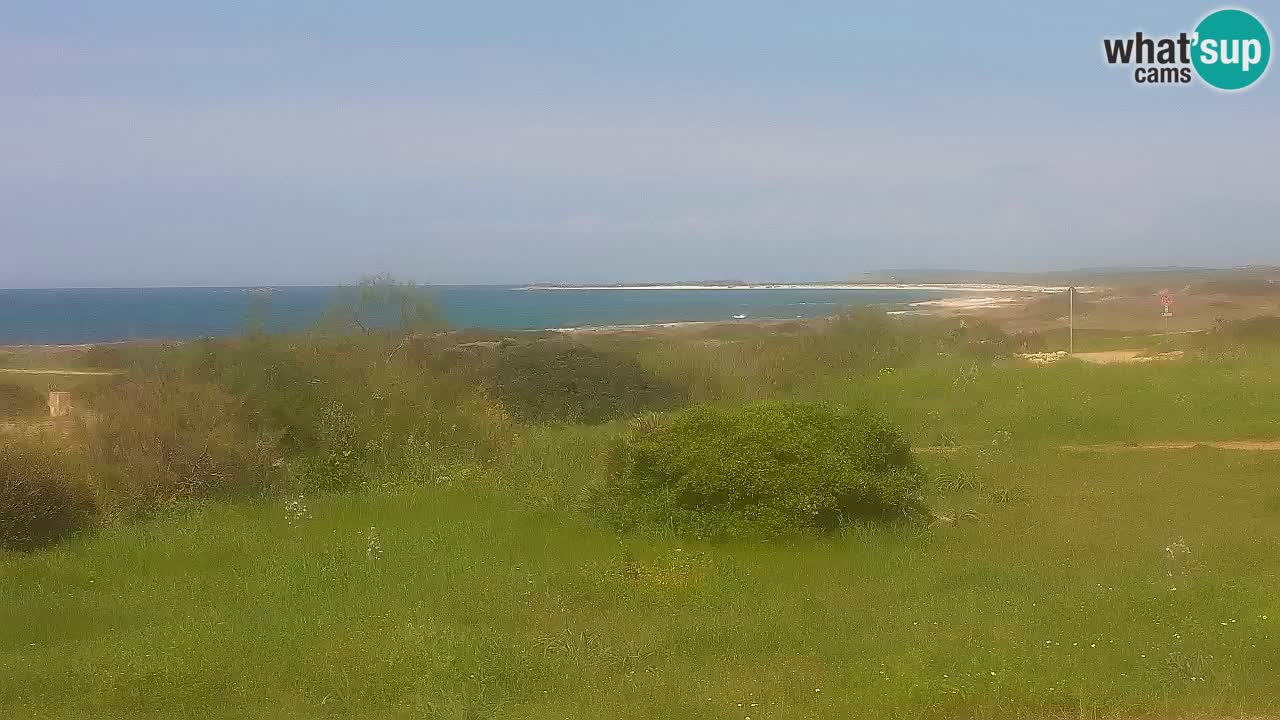 Mari Ermi Strand | Is Arutas – Oristano