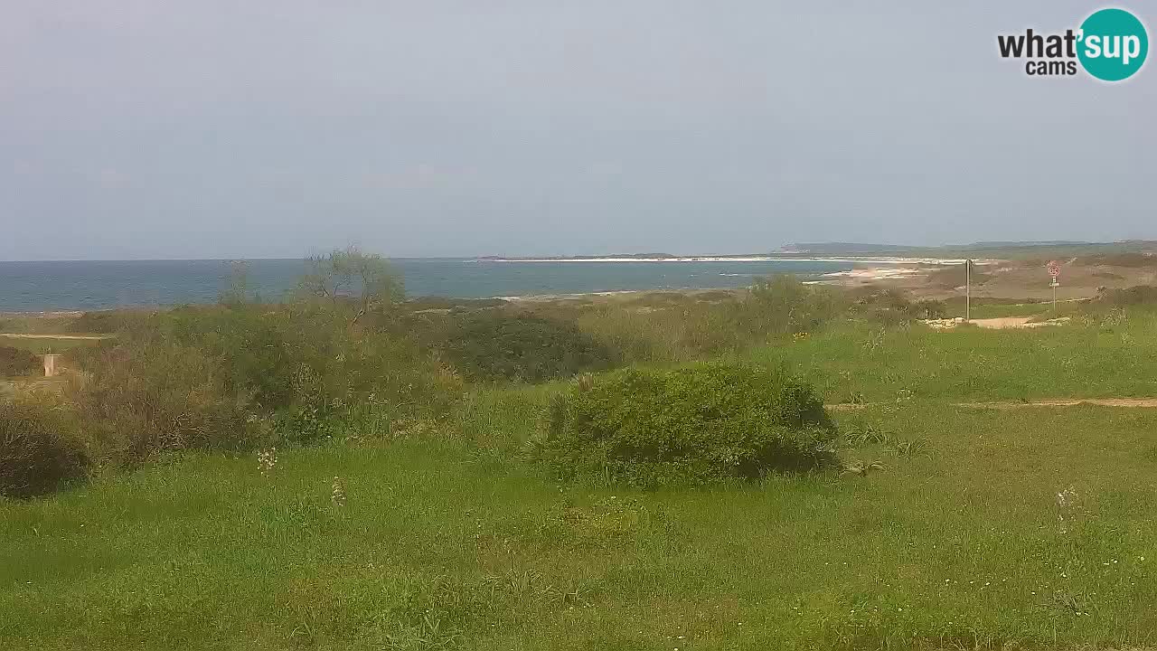 Spiaggia Mari Ermi | Is Arutas – Oristano
