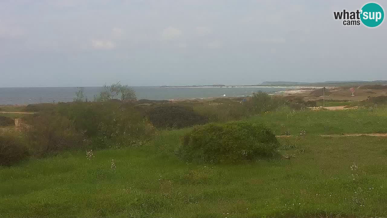 Plaža Mari Ermi | Is Arutas – Oristano