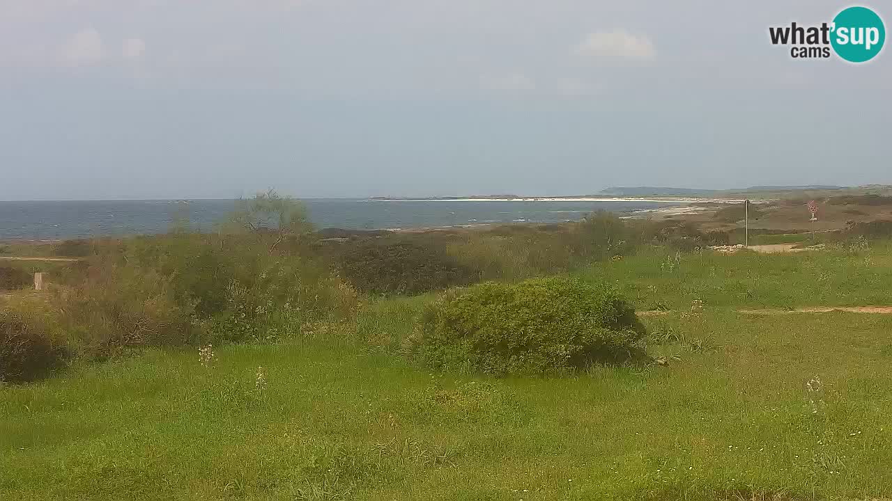 Mari Ermi Strand | Is Arutas – Oristano