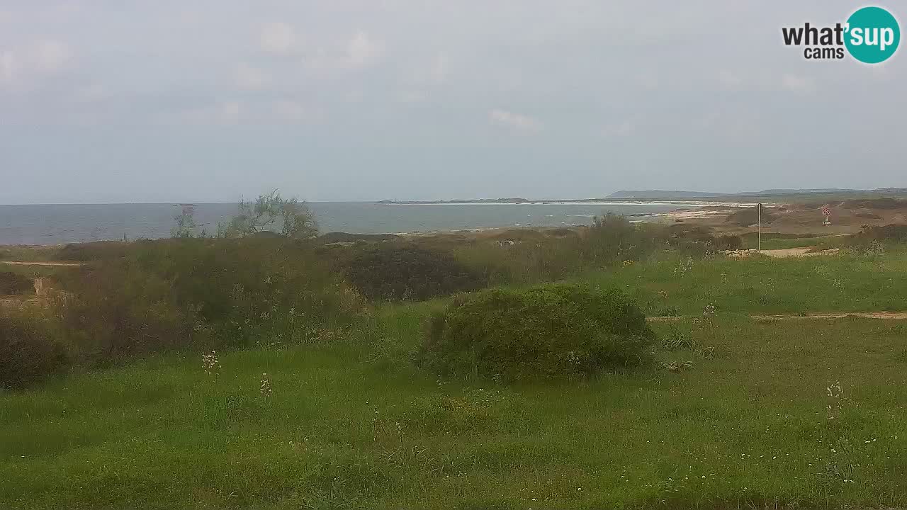 Spiaggia Mari Ermi | Is Arutas – Oristano