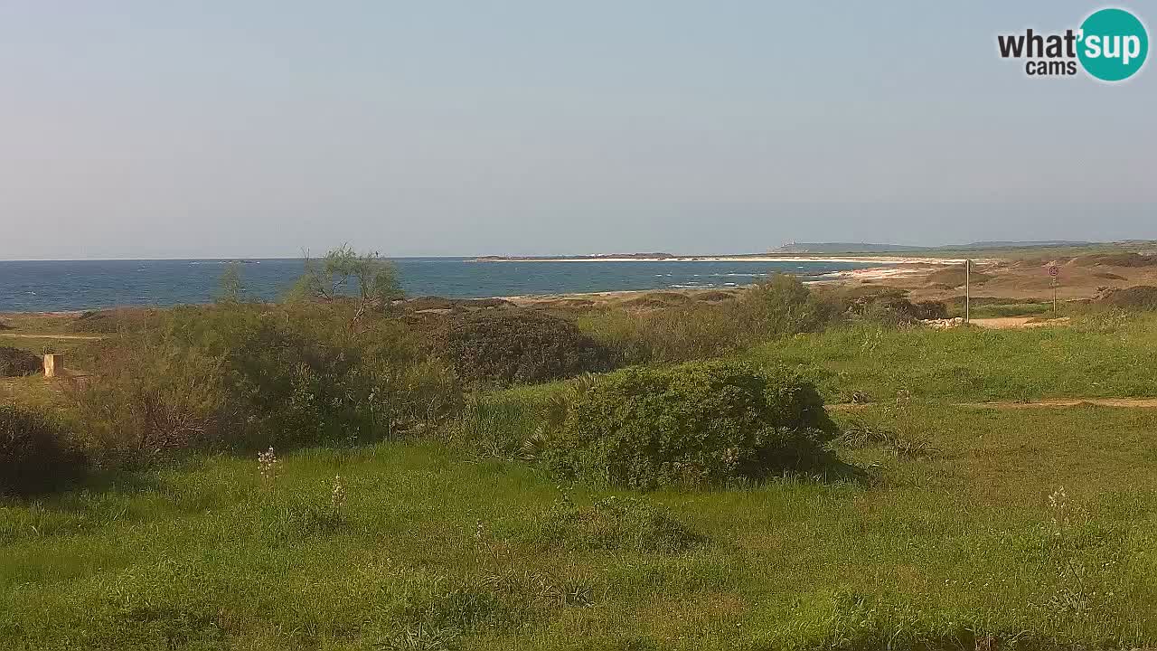 Plaža Mari Ermi | Is Arutas – Oristano