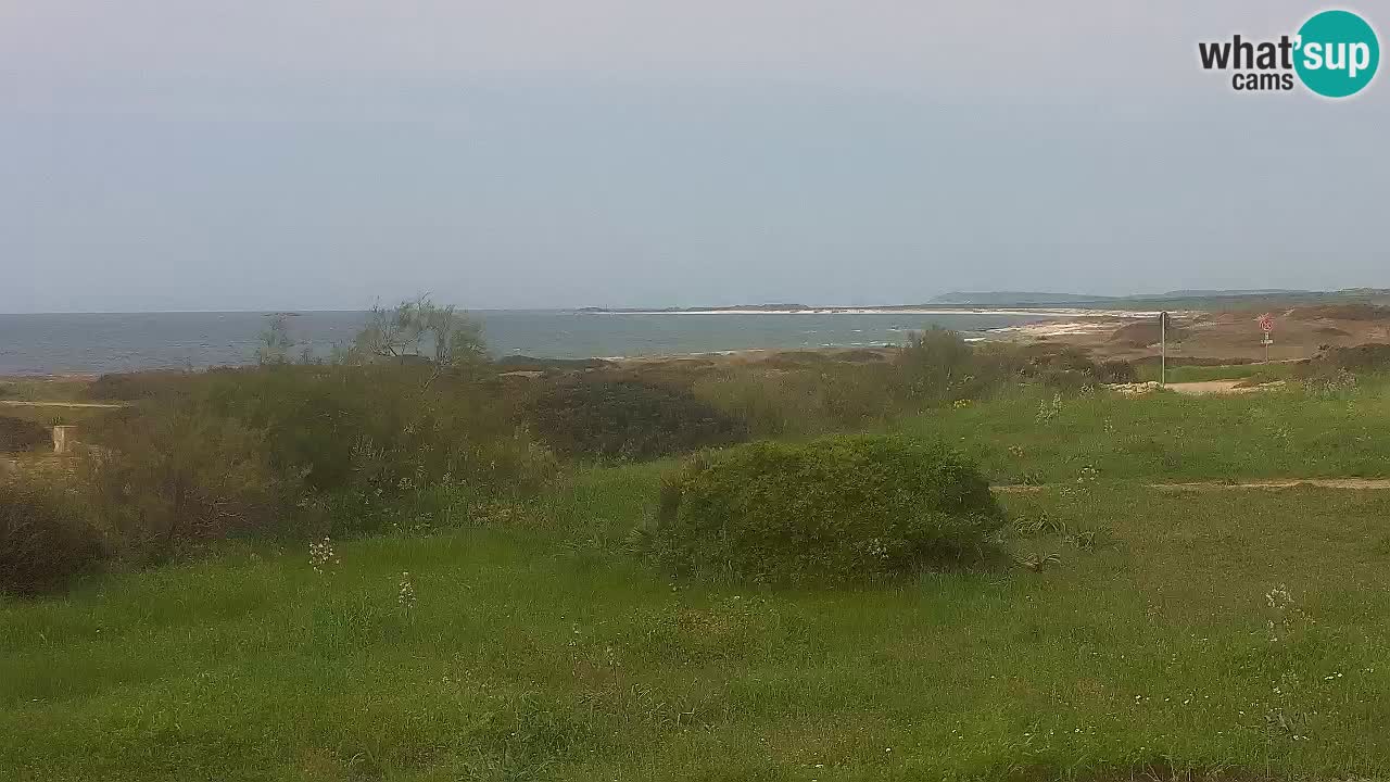 Spiaggia Mari Ermi | Is Arutas – Oristano