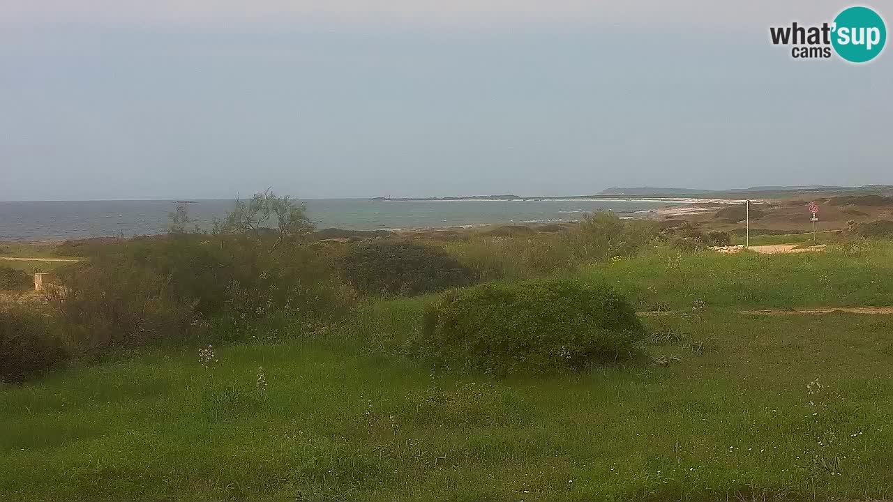 Mari Ermi Strand | Is Arutas – Oristano