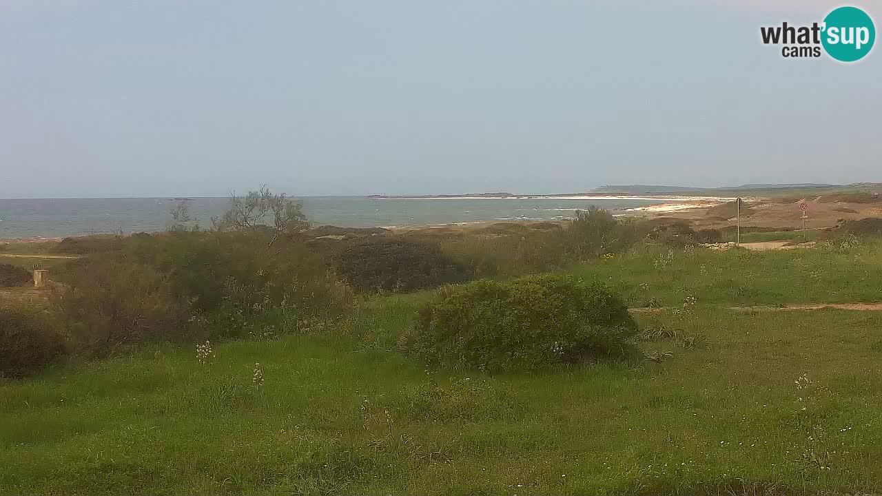 Plaža Mari Ermi | Is Arutas – Oristano