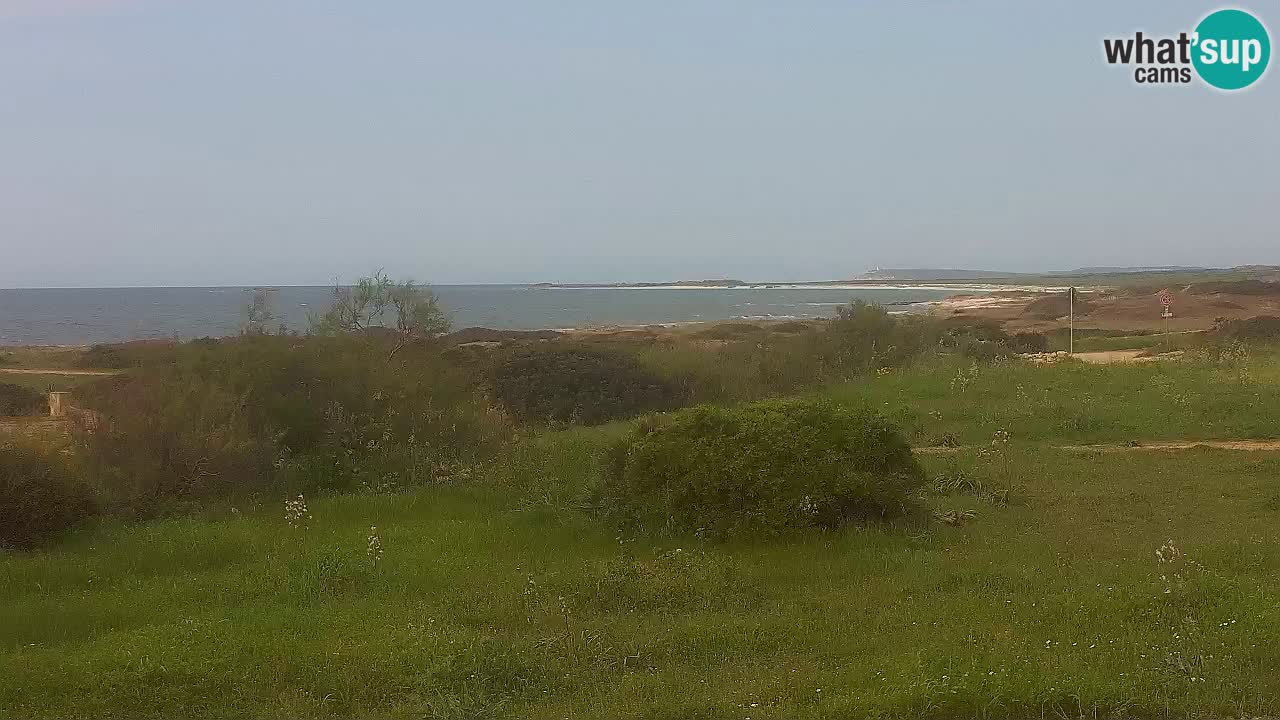 Mari Ermi Strand | Is Arutas – Oristano