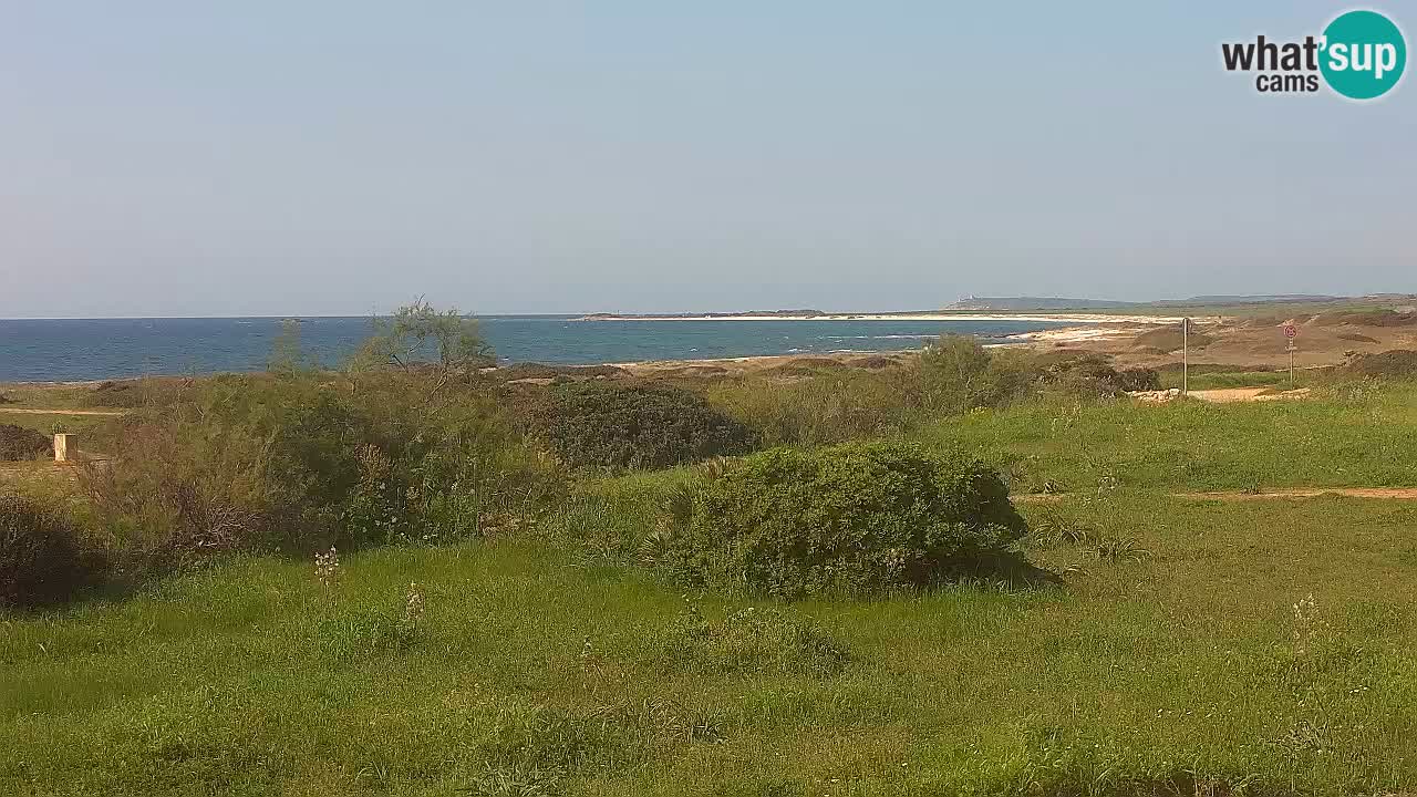 Playa Mari Ermi | Is Arutas – Oristano