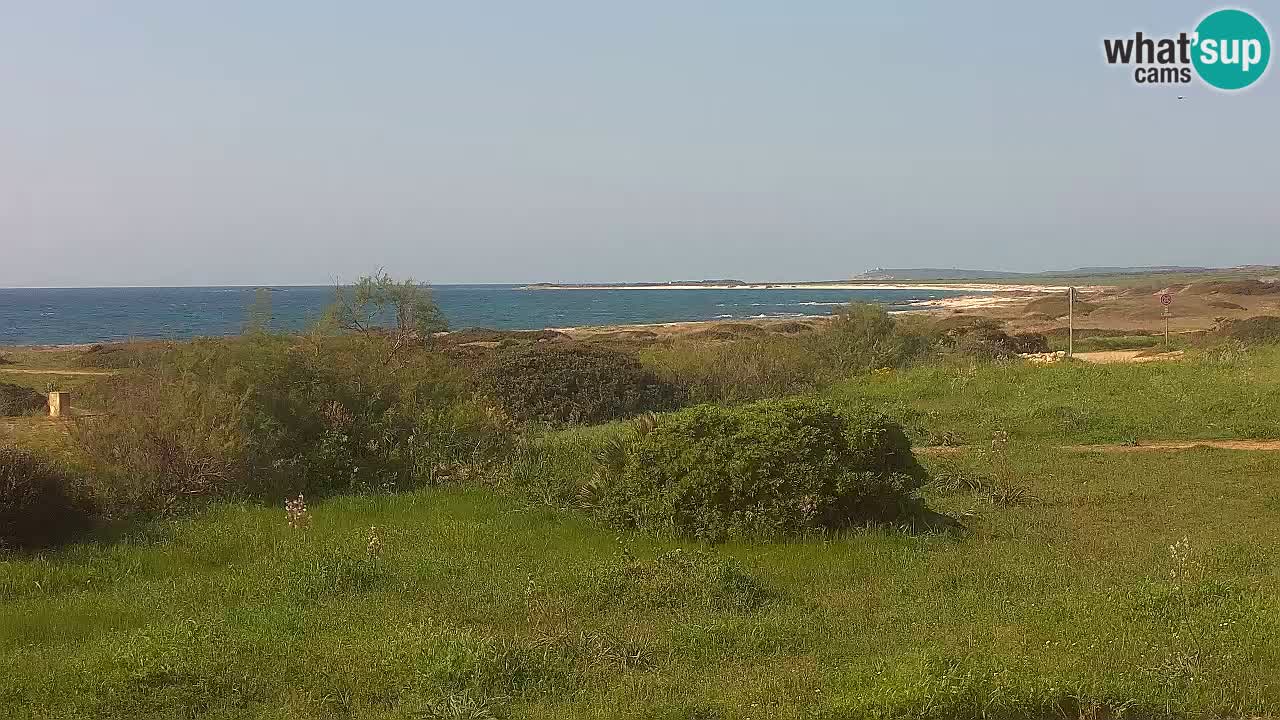 Mari Ermi Strand | Is Arutas – Oristano