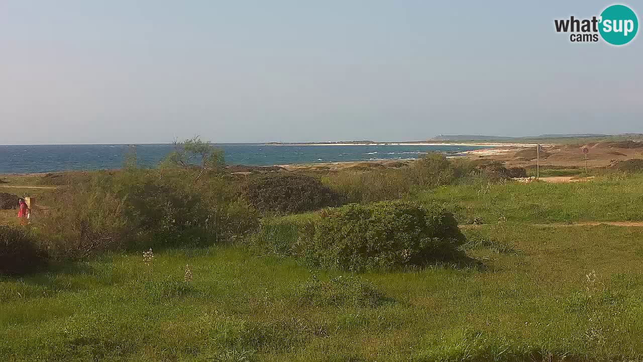 Plaža Mari Ermi | Is Arutas – Oristano