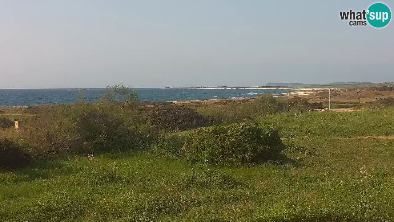 Mari Ermi Strand | Is Arutas – Oristano