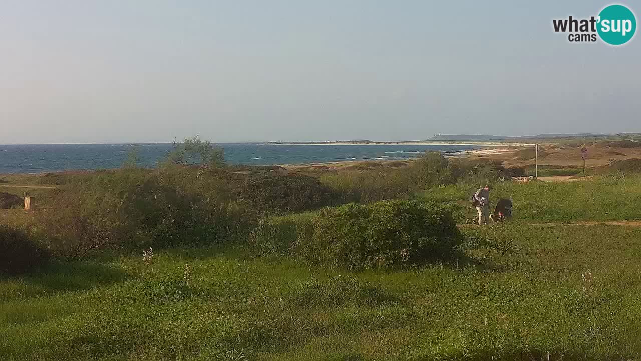 Plaža Mari Ermi | Is Arutas – Oristano